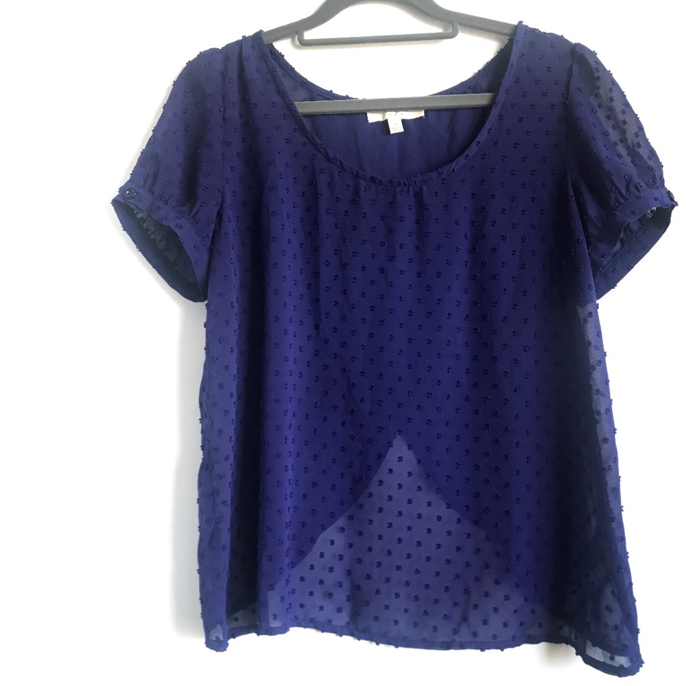 Umgee Polka Dot Sheer Blouse